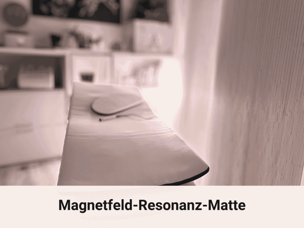 Mgentfeld- Resonanz-Stimulationsmatte. 24 Minuten 2-3x in der Woche